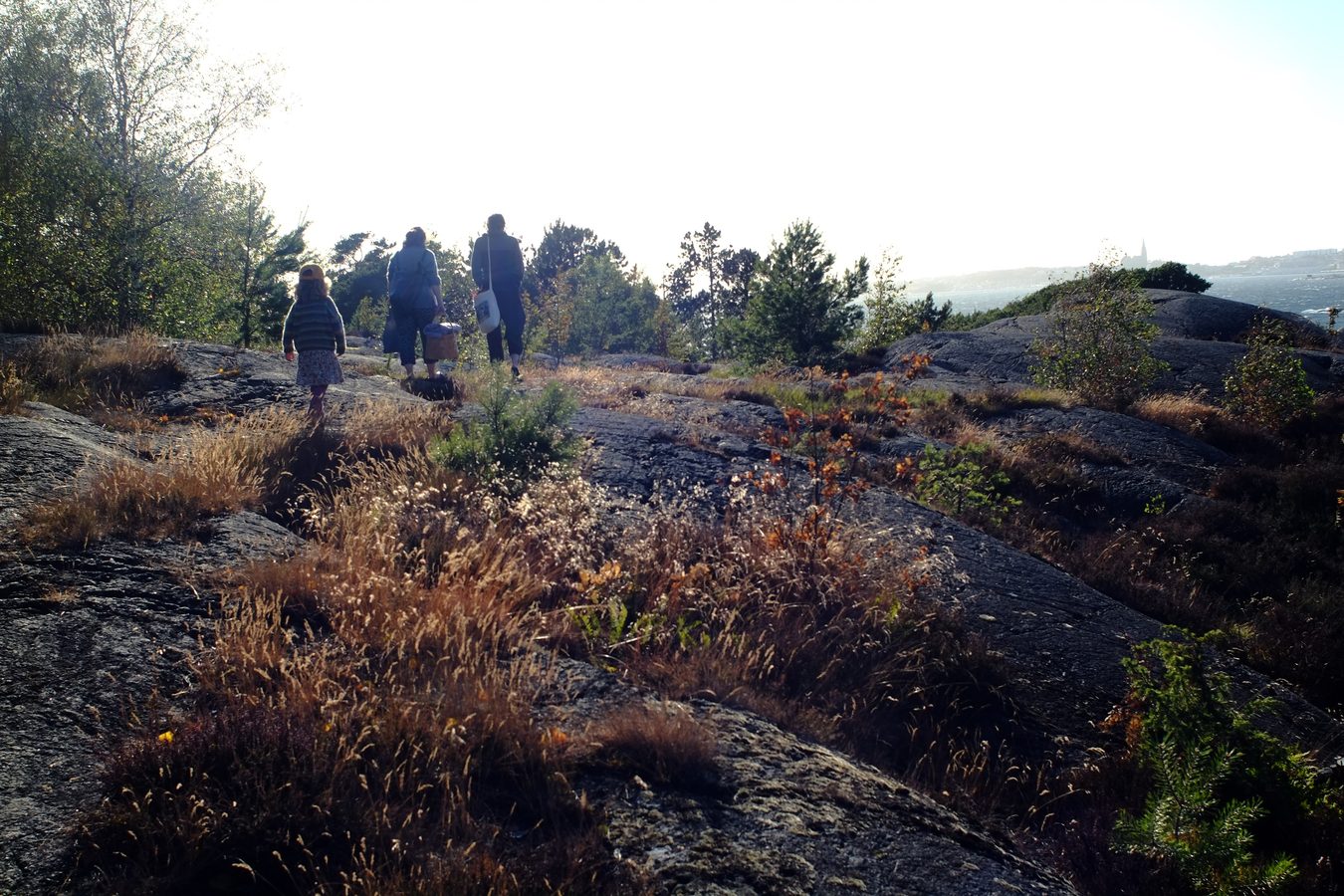 Klippor vid Skaftö